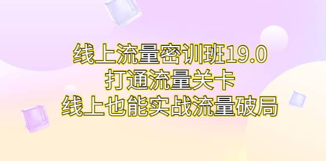 线上流量密训班19.0，打通流量关卡，线上也能实战流量破局-巴叔叔资源网