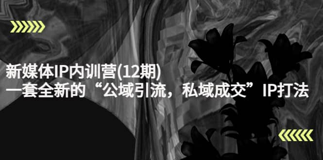 新媒体IP内训营(12期)，一套全新的“公域引流，私域成交”IP打法，直接带走-巴叔叔资源网