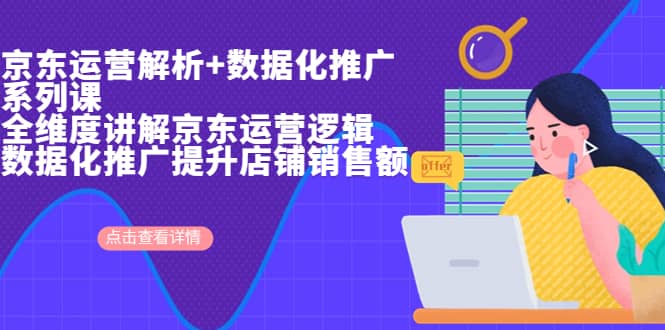 京东运营解析与数据化推广系列课，全维度讲解京东运营逻辑+数据化推广提升店铺销售额-巴叔叔资源网