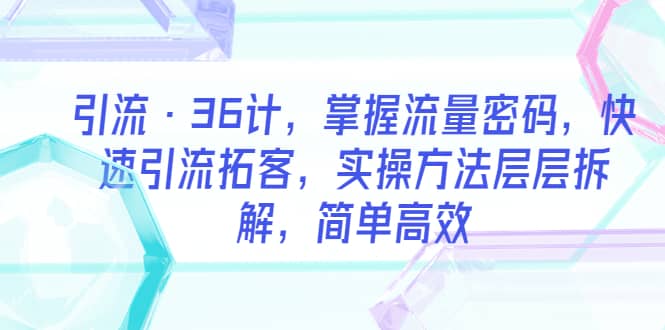 引流·36计，掌握流量密码，快速引流拓客，实操方法层层拆解，简单高效-巴叔叔资源网