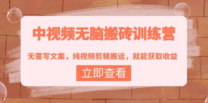 中视频无脑搬砖训练营：无需写文案，纯视频剪辑搬运，就能获取收益-巴叔叔资源网