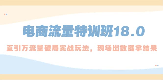 电商流量特训班18.0，直引万流量破局实操玩法，现场出数据拿结果-巴叔叔资源网