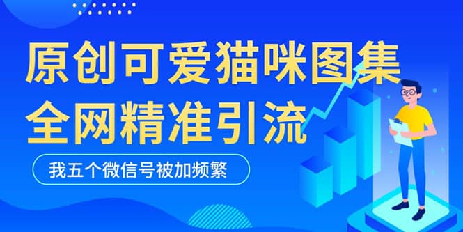 黑科技纯原创可爱猫咪图片，全网精准引流，实操5个VX号被加频繁-巴叔叔资源网