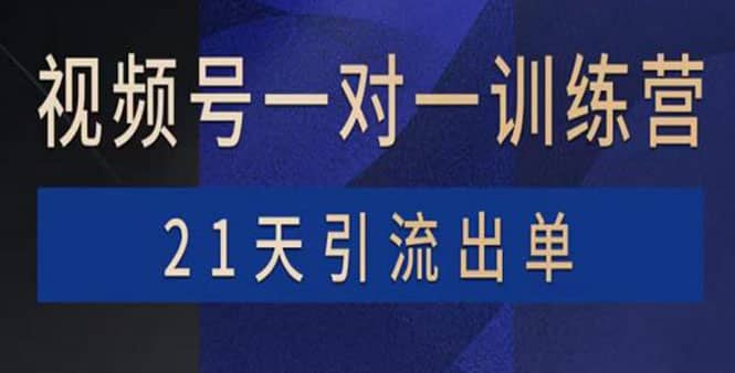 视频号训练营：带货，涨粉，直播，游戏，四大变现新方向，21天引流出单-巴叔叔资源网