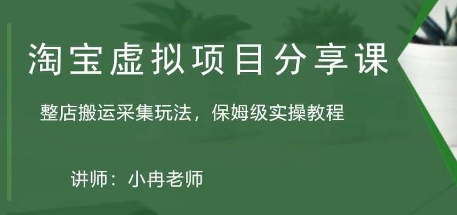 淘宝虚拟整店搬运采集玩法分享课：整店搬运采集玩法，保姆级实操教程-巴叔叔资源网