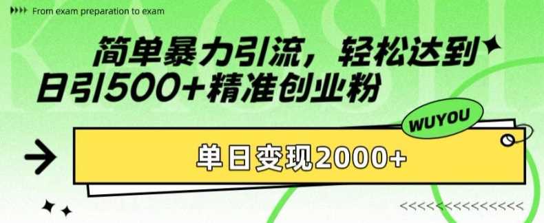 简单暴力引流轻松达到日引500+精准创业粉，单日变现2k【揭秘】-巴叔叔资源网