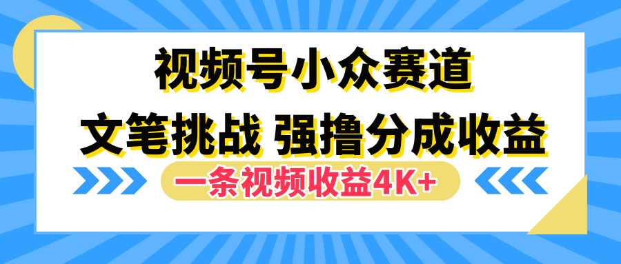 视频号小众赛道，文笔挑战，一条视频收益4K+-巴叔叔资源网