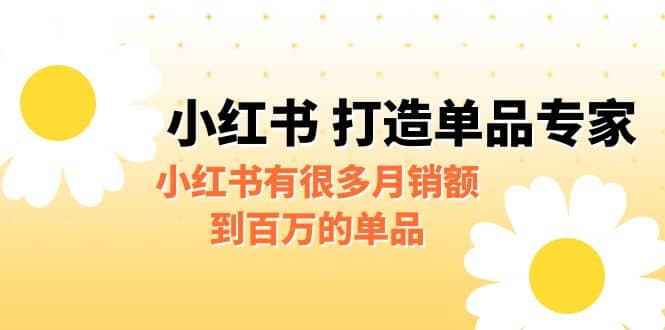 某公众号付费文章《小红书 打造单品专家》小红书有很多月销额到百万的单品-巴叔叔资源网