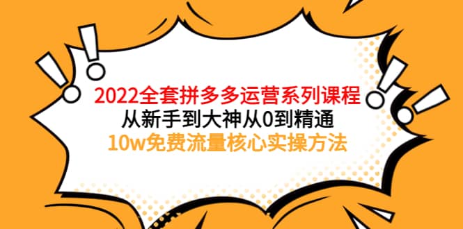 2022全套拼多多运营课程，从新手到大神从0到精通，10w免费流量核心实操方法-巴叔叔资源网