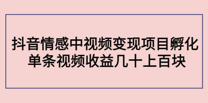 抖音情感中视频变现项目孵化-巴叔叔资源网