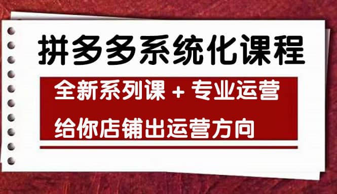 车神陪跑，拼多多系统化课程，全新系列课+专业运营给你店铺出运营方向-巴叔叔资源网
