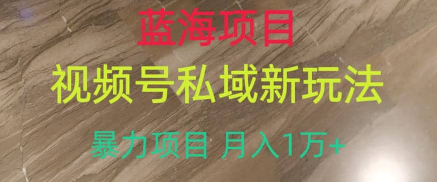 蓝海项目，视频号私域新玩法，暴力项目月入1万+【揭秘】-巴叔叔资源网