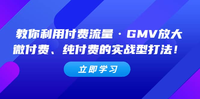 教你利用付费流量·GMV放大，微付费、纯付费的实战型打法-巴叔叔资源网