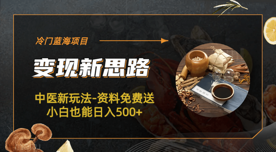 冷门蓝海项目-中医新玩法-冷门蓝海项目-中医新玩法-资料免费送小白也能日入500+500+-巴叔叔资源网