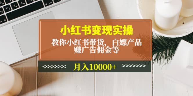小红书变现实操：教你小红书带货，白嫖产品，赚广告佣金等-巴叔叔资源网