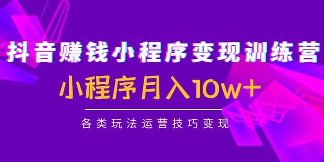 抖音小程序变现训练营：小程序各类玩法运营技巧变现-巴叔叔资源网