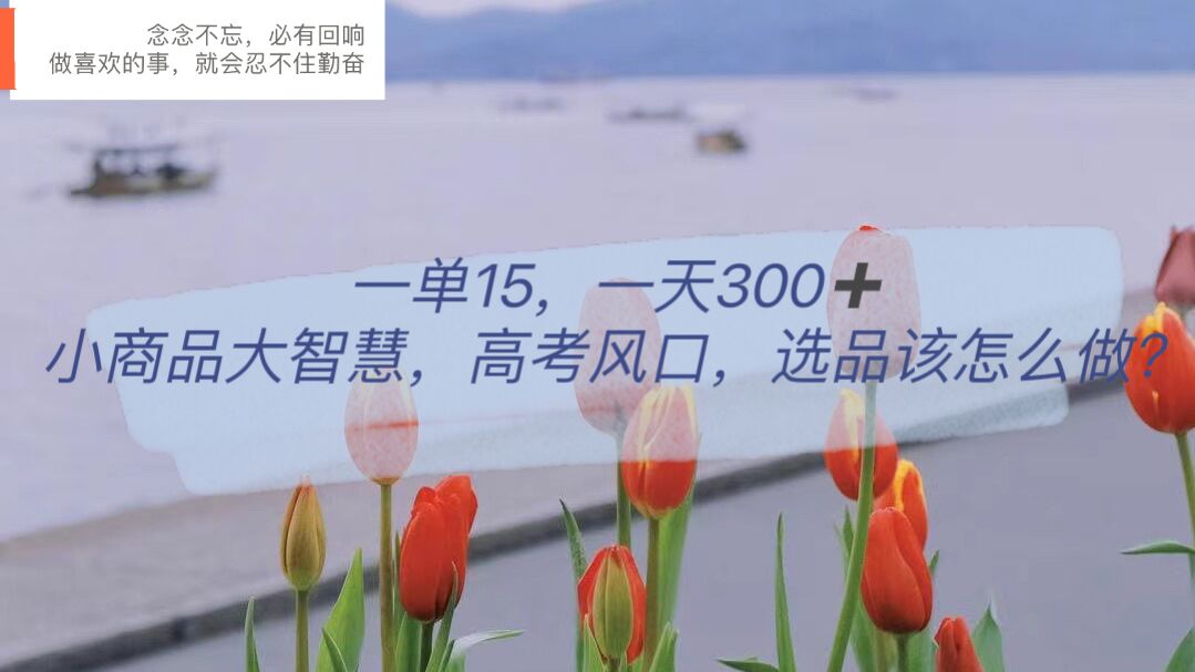 一单15，一天300+，小商品大智慧，高考风口，选品该怎么布局-巴叔叔资源网
