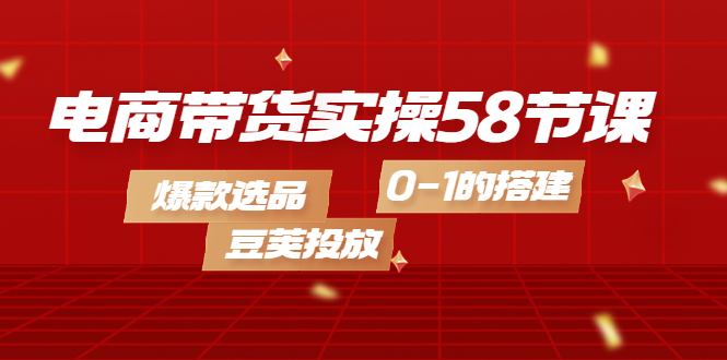 电商带货实操58节课，爆款选品，豆荚投放，0-1的搭建-巴叔叔资源网