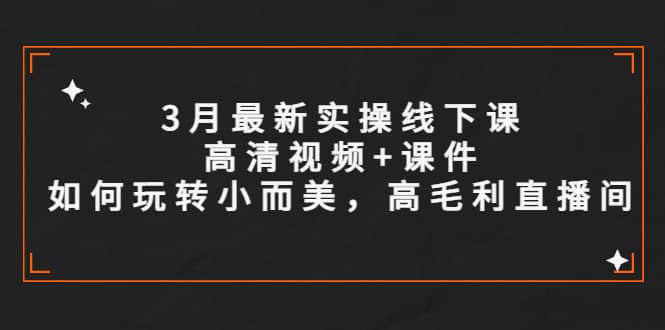 3月最新实操线下课高清视频+课件，如何玩转小而美，高毛利直播间-巴叔叔资源网