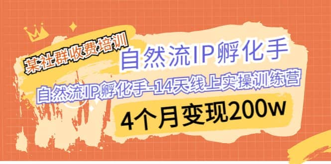 某社群收费培训：自然流IP 孵化手-14天线上实操训练营 4个月变现200w-巴叔叔资源网