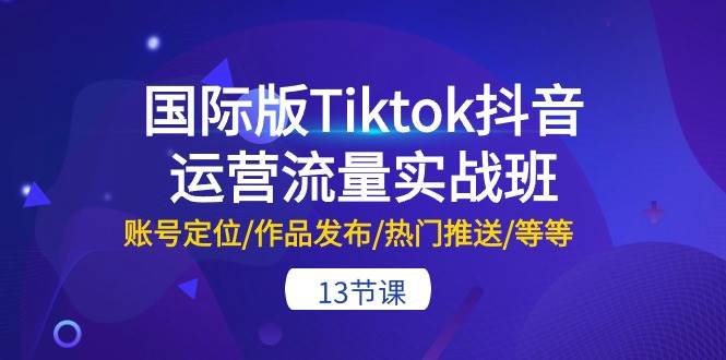 国际版Tiktok抖音运营流量实战班：账号定位/作品发布/热门推送/等等-13节-巴叔叔资源网