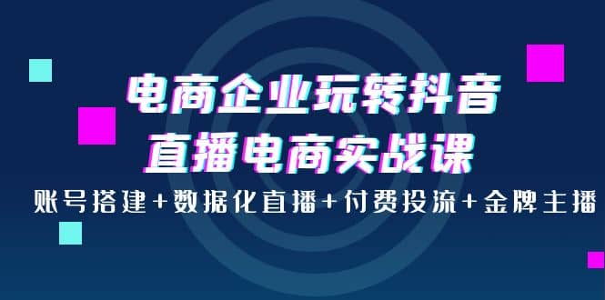电商企业玩转抖音直播电商实战课：账号搭建+数据化直播+付费投流+金牌主播-巴叔叔资源网