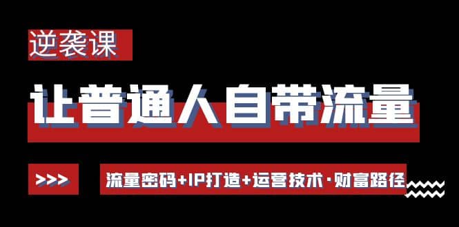 让普通人自带流量的逆袭课：流量密码+IP打造+运营技术·财富路径-巴叔叔资源网