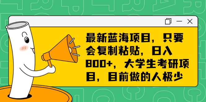 最新蓝海项目，只要会复制粘贴，日入800+，大学生考研项目，目前做的人极少-巴叔叔资源网
