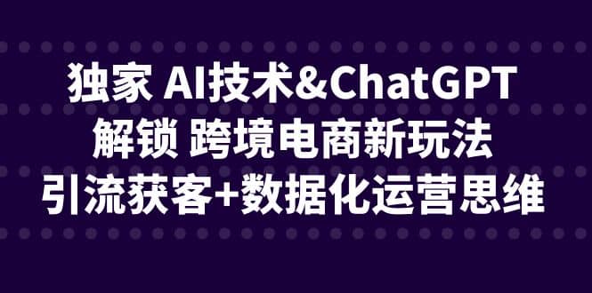 独家 AI技术ChatGPT解锁 跨境电商新玩法，引流获客+数据化运营思维-巴叔叔资源网