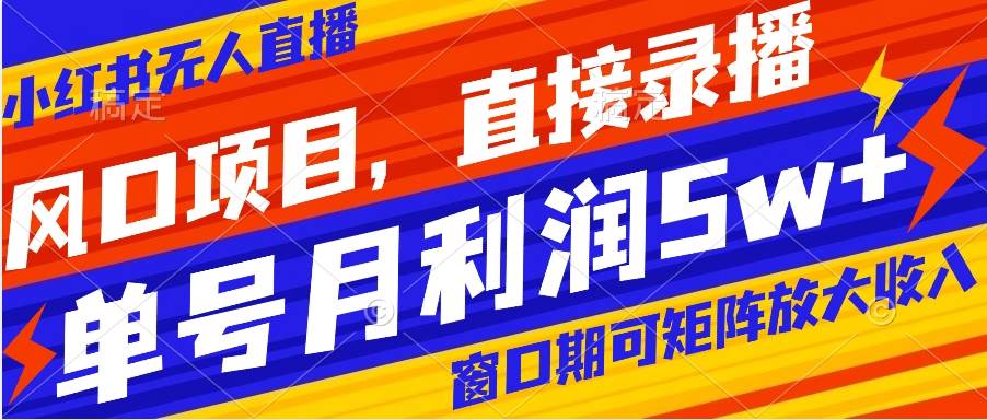 风口项目，小红书无人直播带货，直接录播，可矩阵，月入5w+-巴叔叔资源网
