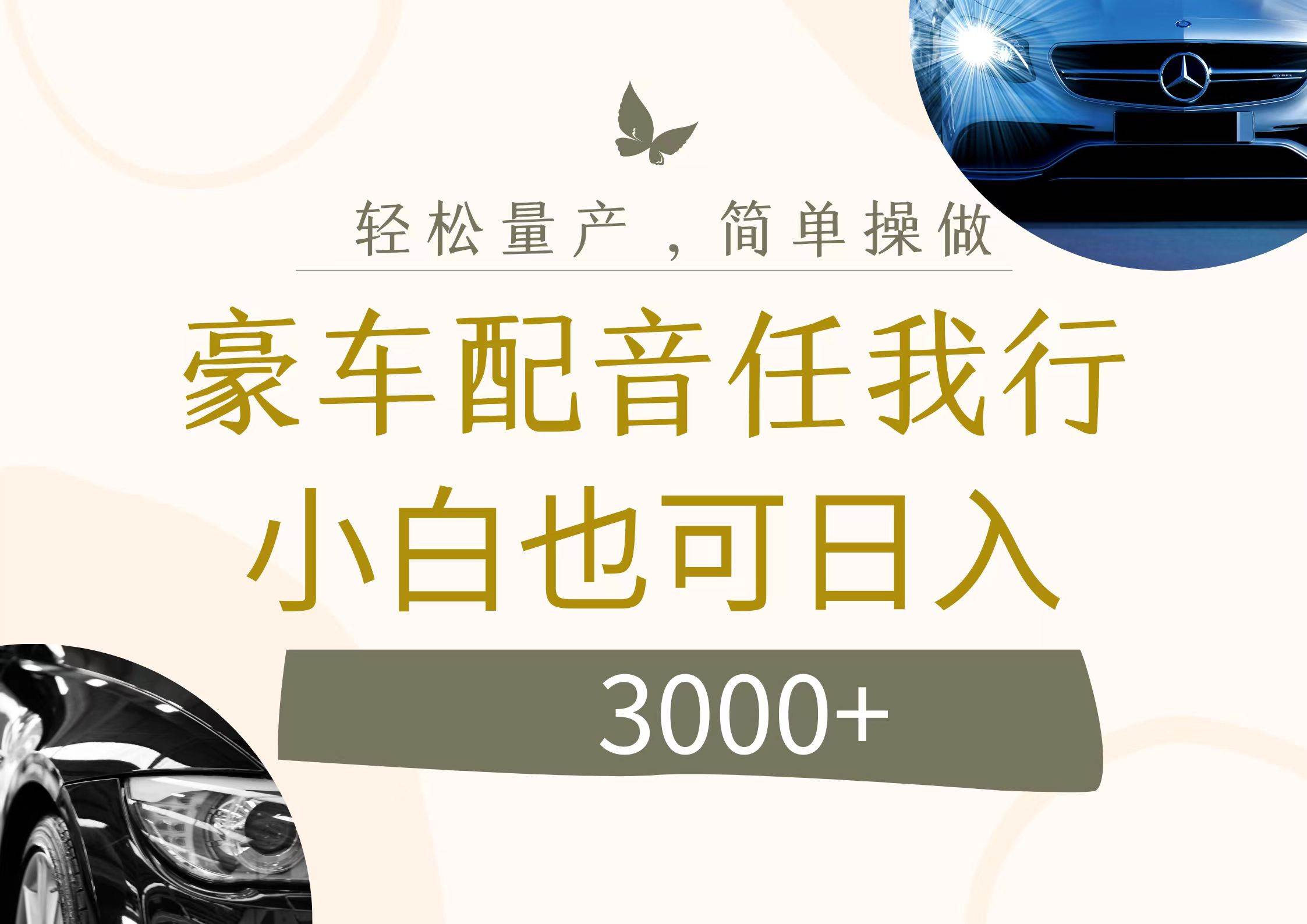 不为人知的暴力小项目，豪车配音，日入3000+-巴叔叔资源网