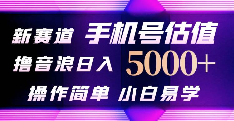 抖音不出境直播【手机号估值】最新撸音浪，日入5000+，简单易学，适合…-巴叔叔资源网