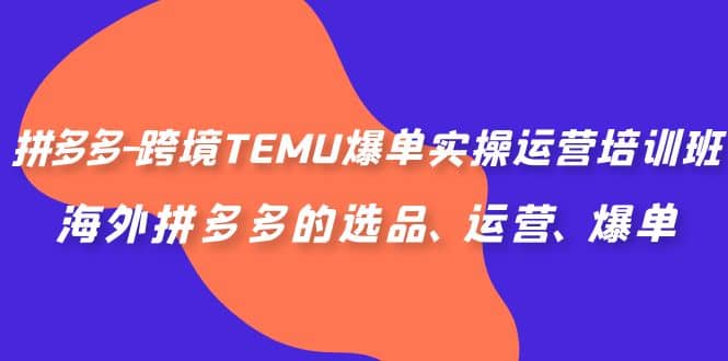 拼多多-跨境TEMU爆单实操运营培训班，海外拼多多的选品、运营、爆单-巴叔叔资源网
