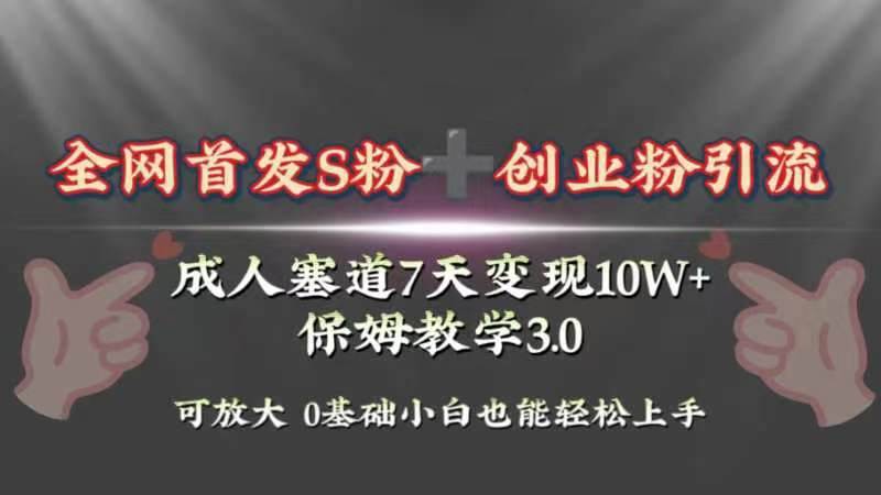 全网首发s粉加创业粉引流变现，成人用品赛道7天变现10w+保姆教学3.0-巴叔叔资源网