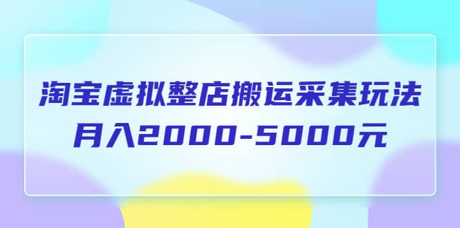 淘宝虚拟整店搬运采集玩法分享课：月入2000-5000元（5节课）-巴叔叔资源网