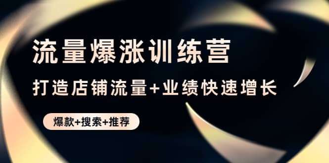 流量爆涨训练营：打造店铺流量+业绩快速增长 (爆款+搜索+推荐)-巴叔叔资源网