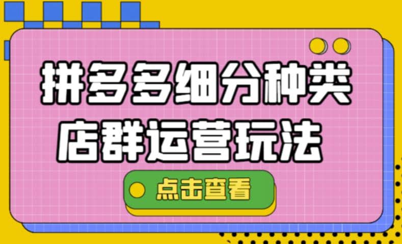 拼多多细分种类店群运营玩法3.0，11月最新玩法，小白也可以操作-巴叔叔资源网