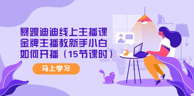 暴躁迪迪线上主播课，金牌主播教新手小白如何开播（15节课时）-巴叔叔资源网