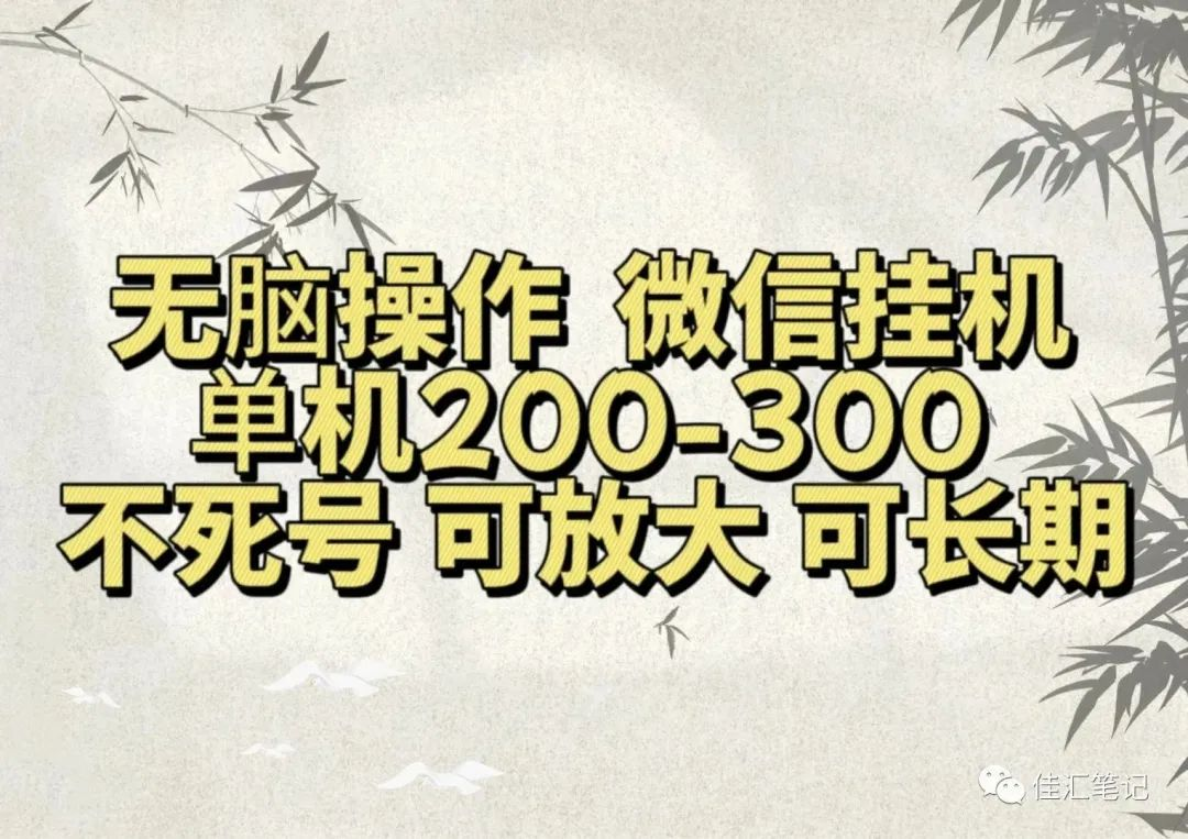 无脑操作微信视频号挂机单机200-300一天，不死号，可放大，工作室实测-巴叔叔资源网