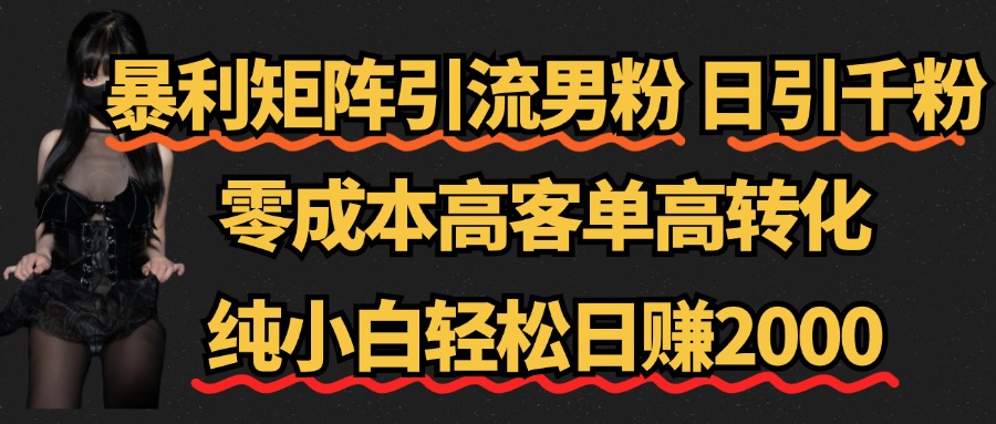 暴利矩阵引流男粉（日引千粉），零成本高客单高转化，纯小白轻松日赚2000+-巴叔叔资源网