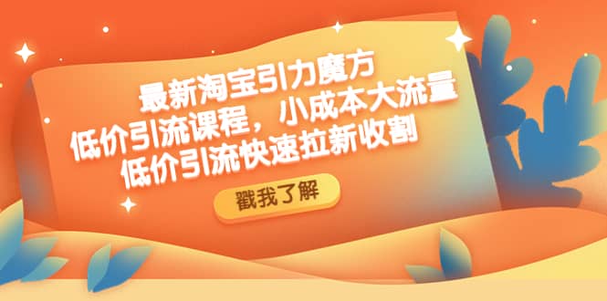最新淘宝引力魔方低价引流实操：小成本大流量-巴叔叔资源网
