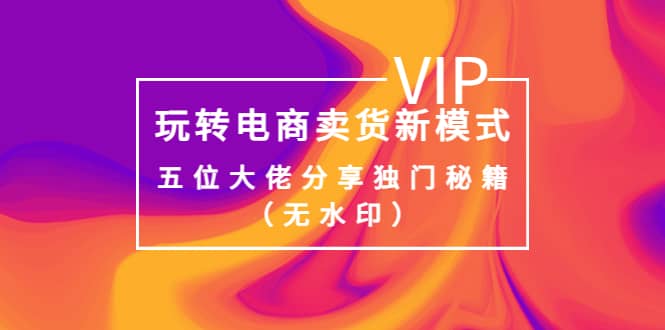 某收费培训：玩转电商卖货新模式，五位大佬分享独门秘籍（无水印）-巴叔叔资源网
