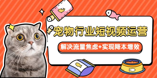 宠物/行业短视频运营 流量增长的一层窗户纸 解决流量焦虑+实现降本增效-巴叔叔资源网