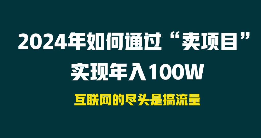 2024年如何通过“卖项目”实现年入100W-巴叔叔资源网