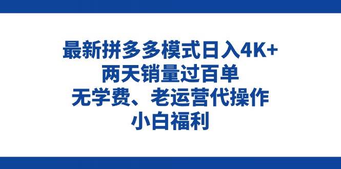 拼多多最新模式日入4K+两天销量过百单，无学费、老运营代操作、小白福利-巴叔叔资源网