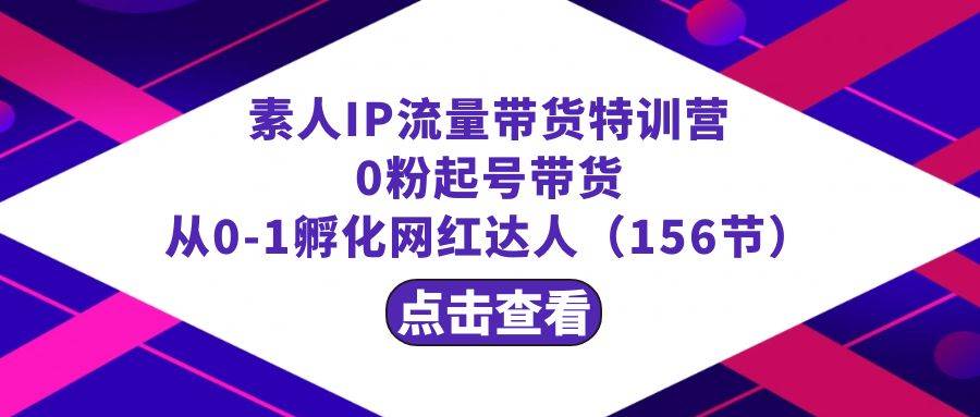 繁星·计划素人IP流量带货特训营：0粉起号带货 从0-1孵化网红达人（156节）-巴叔叔资源网