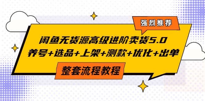 闲鱼无货源高级进阶卖货5.0，养号+选品+上架+测款+优化+出单整套流程教程-巴叔叔资源网