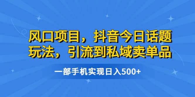 风口项目，抖音今日话题玩法，引流到私域卖单品，一部手机实现日入500+-巴叔叔资源网