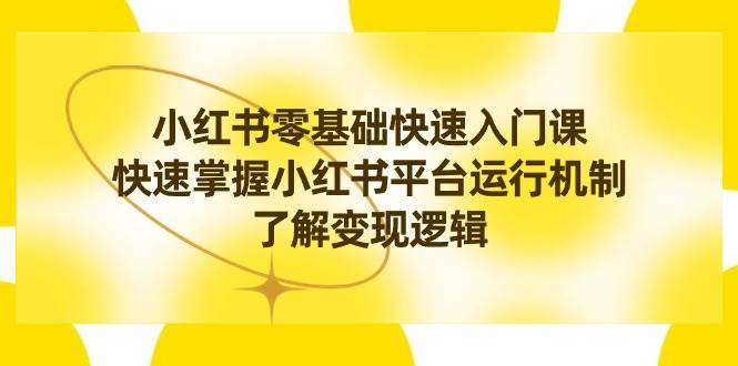 小红书0基础快速入门课，快速掌握小红书平台运行机制，了解变现逻辑-巴叔叔资源网