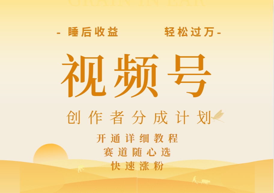 详解视频号创作者分成计划，暴力起号，可同步多平台，实现睡后收入2W+，看懂即可操作！-巴叔叔资源网